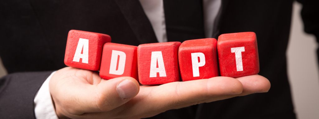 le management de transition s'adapte