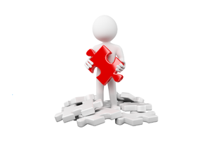 Interim Manager Bewerbung verschiedene Bereiche