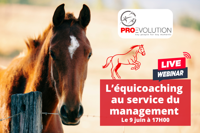 Webinaire Equi coaching au service du management