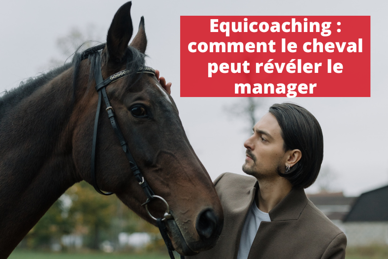 equicoaching comment le cheval peut révéler le manager